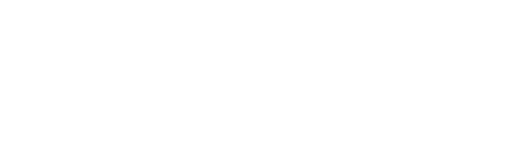 P4B Solar white logo