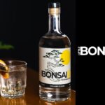 Little Bonsai GnT and Gin Bottle